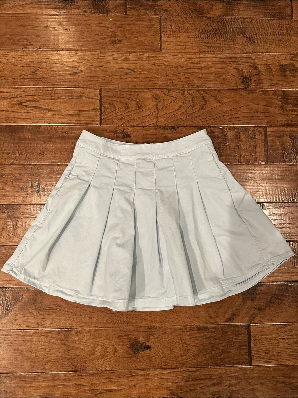 American Eagle Outfitters Light Blue Pleated Circle Skirt